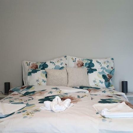 Angi Apartman- Nagyszeru Elhelyezkedes, Vendegkozpontu Szallashely-Szolgaltatas Daire Harkány Dış mekan fotoğraf